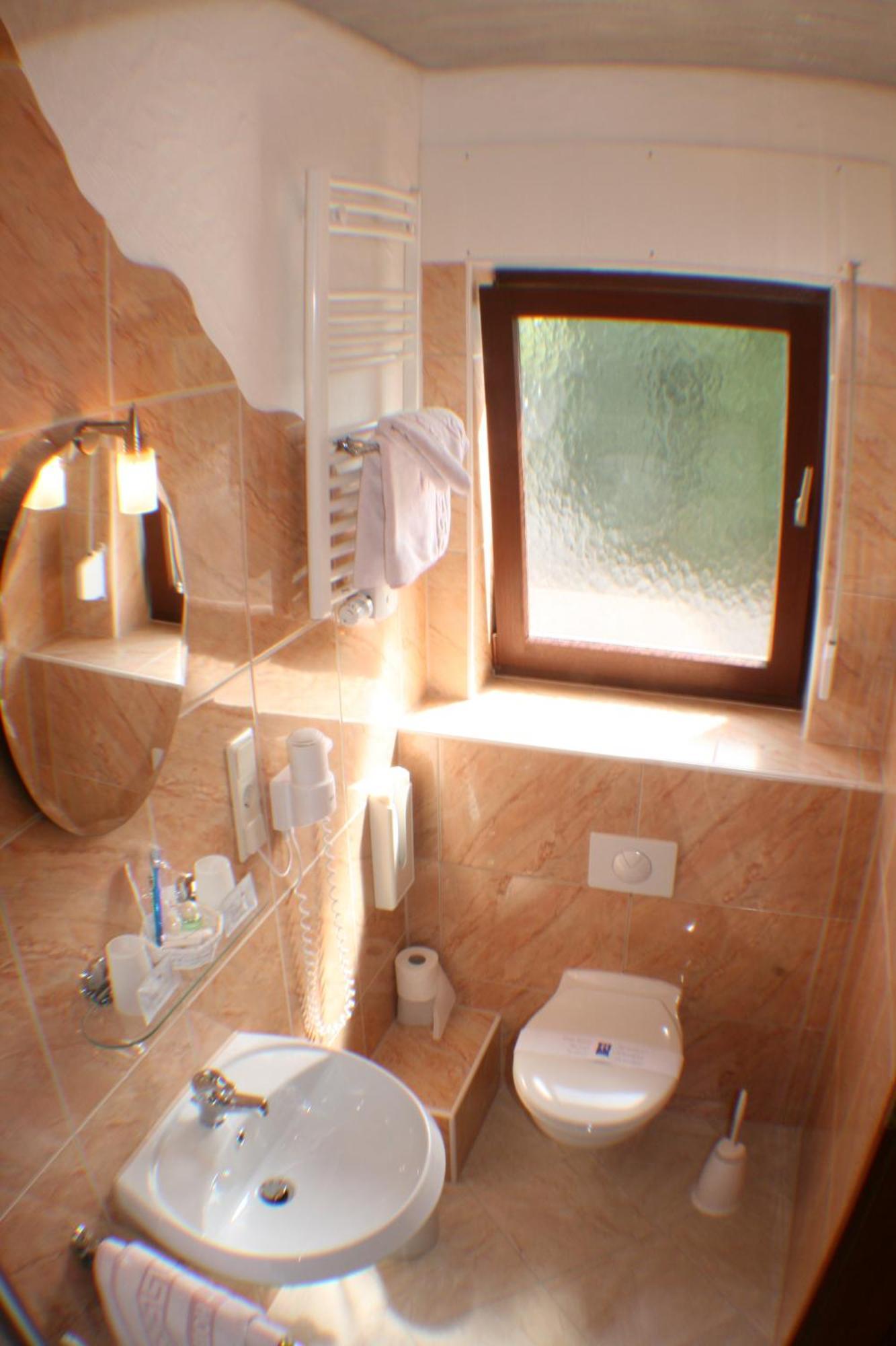 Hotel Geromont Plaidt Pokój zdjęcie